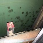 Mold