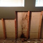 Chicago Mold Damage Behind Wall