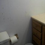 Mold Damage in New Milford Bathroom